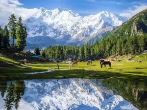 Fairy-Meadows-Gilgit